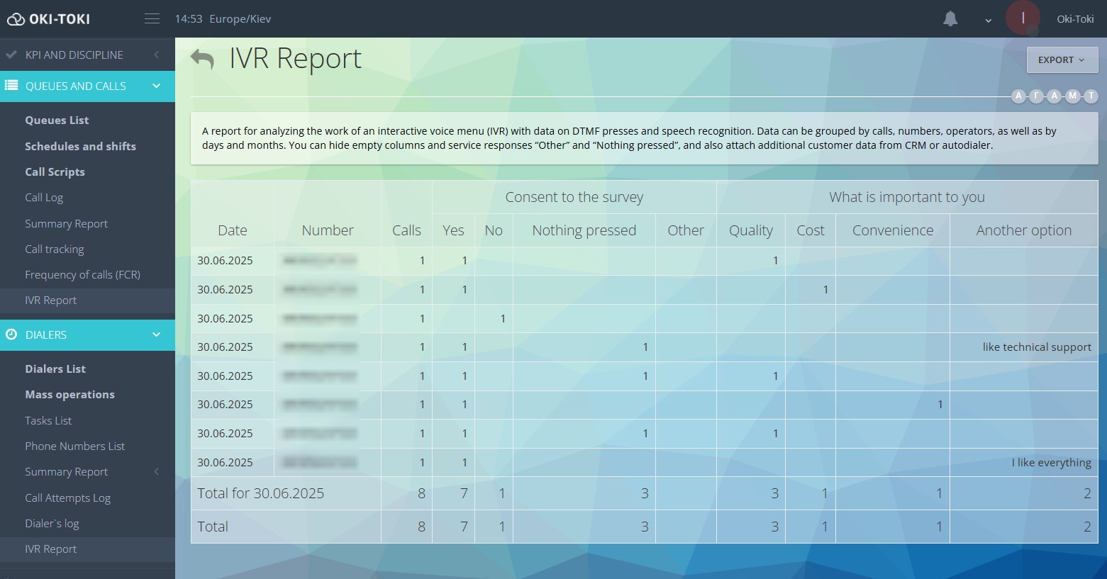 IVR Report